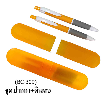 BC-309B �ش�ҡ��+�Թ��